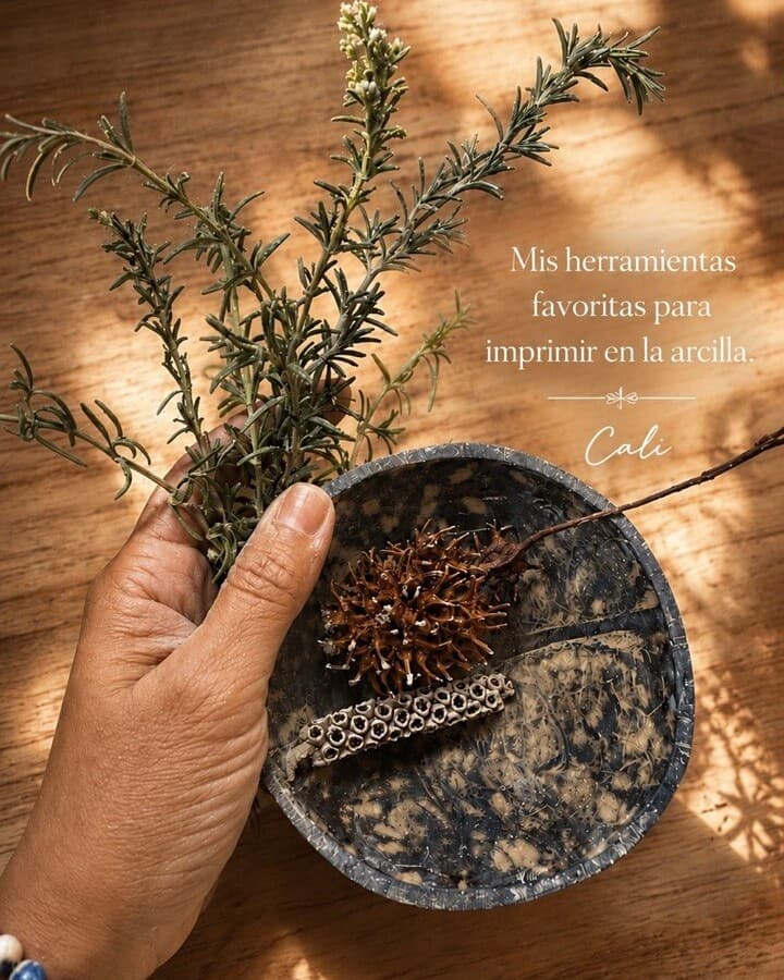 La mano de Cali sostiene ramitas de romero junto a un cuenco con semillas y frutos secos, sobre una mesa de madera con luz de mañana. Texto: Mis herramientas favoritas para imprimir en la arcilla. Firma: Cali